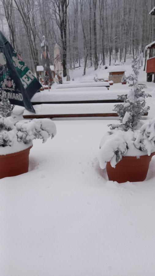 Chata Korenny Vrch Pezinska Baba Pezinok Exterior foto