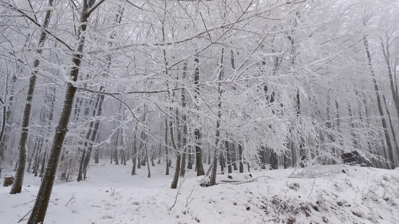 Chata Korenny Vrch Pezinska Baba Pezinok Exterior foto