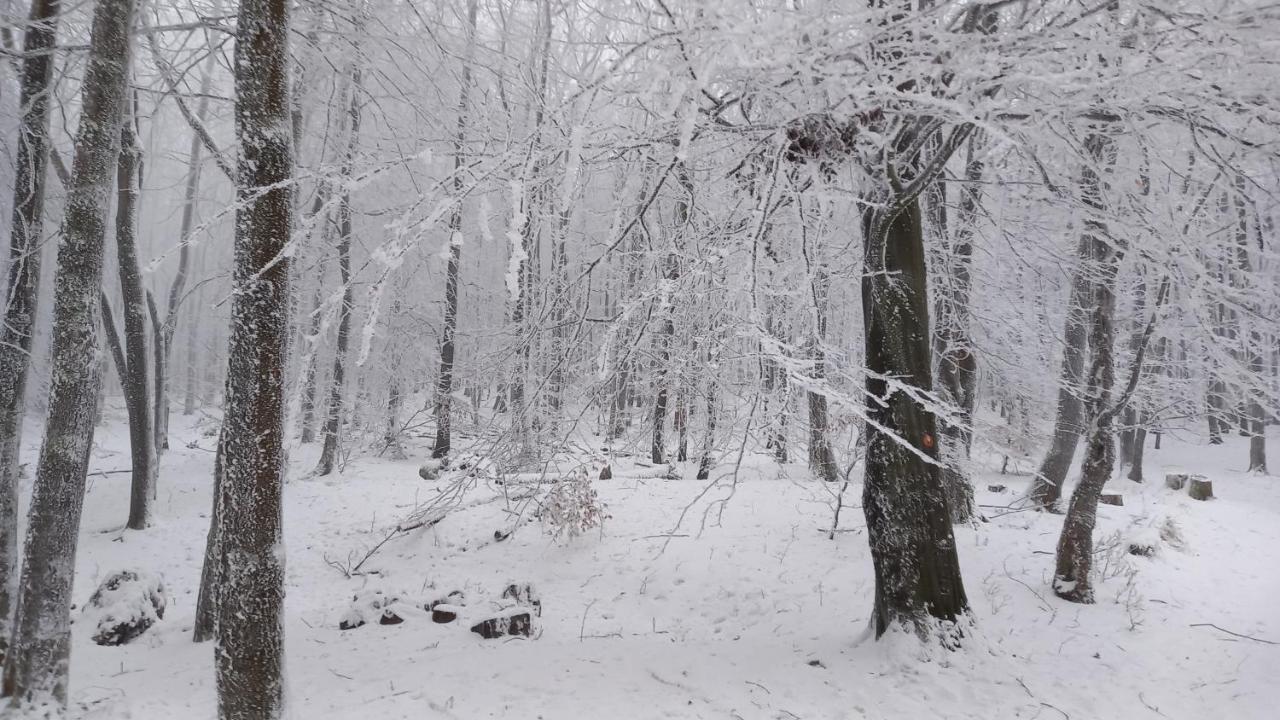 Chata Korenny Vrch Pezinska Baba Pezinok Exterior foto