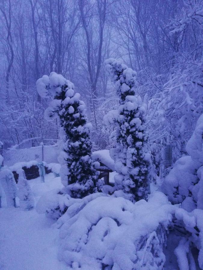 Chata Korenny Vrch Pezinska Baba Pezinok Exterior foto